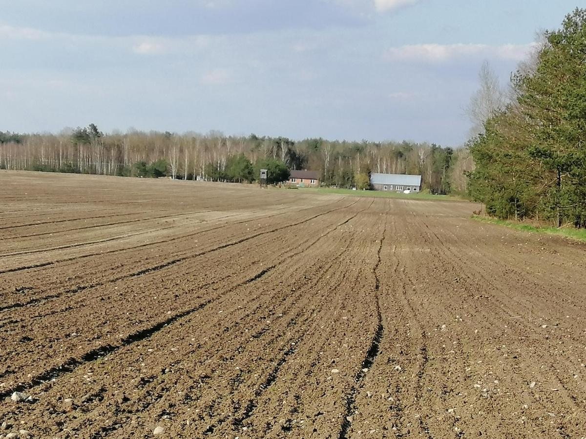 Agroturystyka Pod Dobrymi Skrzydlami Wiski Eksteriør billede